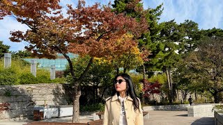 National Museum of Korea  Autum Season 2024 [upl. by Grous73]