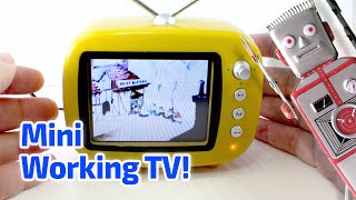 2009 Working Miniature TV SET by Greenhouse China [upl. by Aicined594]