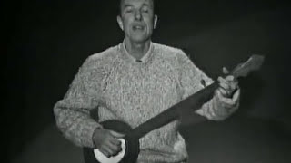 Pete Seeger  What Did You Learn In School [upl. by Jedthus]