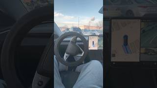 tesla automobile autopark teslamodel3 canada entertainment ytshorts shorts [upl. by Acinom43]