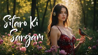 Sitaro Ki Sargam ✨  Hindi Lofi × Relaxing EDM  Soothing Night Vibes [upl. by Jenilee703]