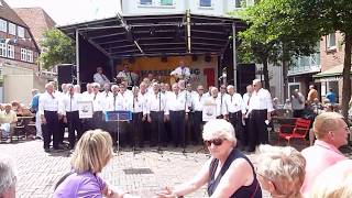 Altländer ShantyChor beim Altstadtfest in Buxtehude [upl. by Shaefer839]