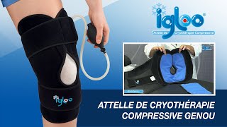 Igloo Attelle de cryothérapie compressive pour le genou [upl. by Sirronal]