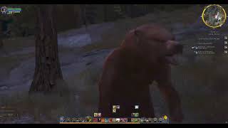 Lotro legendary 64b fearless Red Loremaster SSF Pt 4 [upl. by Shorter180]