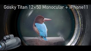 Gosky Titan 12X50 Monocular  BIRDING 4K Video test [upl. by Sherborne]