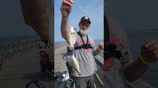 Keansburg Fishing Pier Spot Fish [upl. by Meekar]