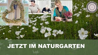 JETZT die wichtigsten Frühlingsblumen  zwiebel setzen Ansprüche und Standort Herbstdeko DIY [upl. by Hnib863]