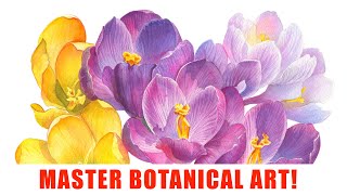 BOTANICAL ART TUTORIAL 🌸 Crocus 🌼 How to Paint Spring Flowers with Watercolor [upl. by Helaina]