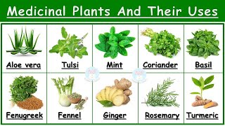 Medicinal Plants And Their Uses  25 Ayurvedic Plants Names  Medicinal Herbs  औषधीय पौधे  Plants [upl. by Yesllek966]