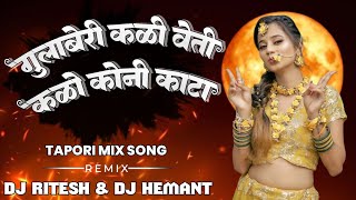 GULABERI KALI HETI KALO KONI KATA  BANJARA SAD SONG NEW Trending  Tapori Mix  DJ RITESH HEMANT [upl. by Lyn]