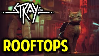 Chapter 5 Rooftops Gameplay Walkthrough  STRAY [upl. by Gascony]