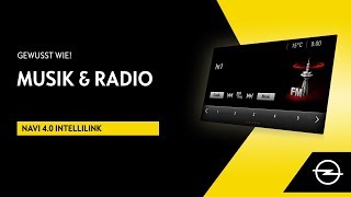 Navi 40 IntelliLink  Musik amp Radio  Gewusst wie [upl. by Putnem]