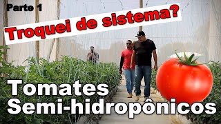 Sistema de Tomates SemiHidropônicos  Conhecendo a Nova Estufa dos Meus Vizinhos Parte 1 [upl. by Atekahs]