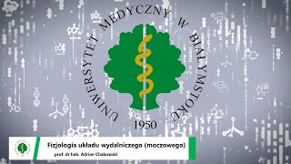 Fizjologia układu wydalniczego moczowego prof dr hab Adrian Chabowski [upl. by Gyimah]