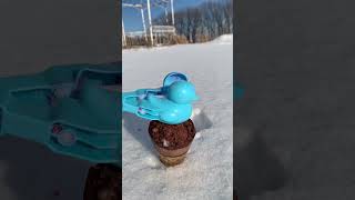 Do make a cute snow with real ice cream and duck toys [upl. by Meghann]