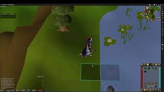 OSRS 3tick Barbarian Fishing 70k96k Fishing  5k85k Agility and Strength XP per hour [upl. by Jaenicke]