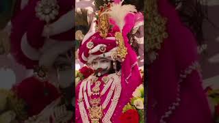 Jis ki Kalai tham li usko kesa dar 🙏🌹🌹🌹🥰🥰shyam bhajankhatushyam bhakti song [upl. by Acirret]