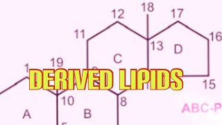 Derived Lipids Biochemistry [upl. by Oigile]