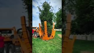 18 tree reimplantation tecnology tree tree machine farming shorts china new [upl. by Payson]