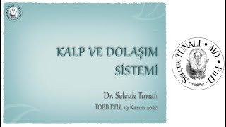 Kalp ve Dolaşım Sistemi [upl. by Harald]