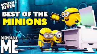 The Best Of The Minions  Minions 2015 amp Despicable Me 2010  Screen Bites [upl. by Cirde]