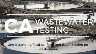 California Understanding fecal coliforms and E coli wastewater testing [upl. by Son]