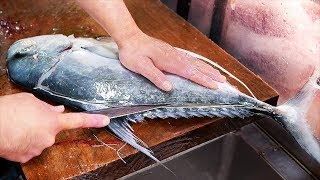 Japanese Street Food  GIANT MACKEREL Okinawa Seafood Japan [upl. by Pliske]