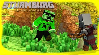 『Sturmburg』 Die neuen Zeiten  Minecraft Hörspiel  Hörbuch 〚Deutsch〛 [upl. by Naylor]