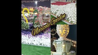 Al Ain Flower Festival 2022  Al Ain Mini Miracle Garden [upl. by Cerracchio]