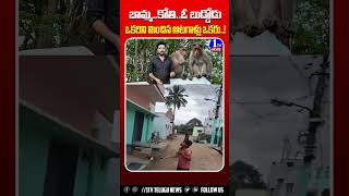 ముగ్గురు ఆటగాళ్లు  బాలు పట్టుకోరా బుడ్డోడా   1TV News [upl. by Myna]