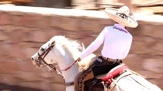 LOS MEJORES COLEADEROS EN JOMULQUILLO JEREZ ZACATECAS [upl. by Lynna724]