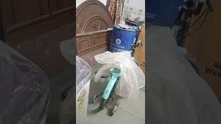 Semi Washing Mashin blog  TCL ki Mashin Shoping  washing Mashin Unboxing video [upl. by Marcellina]