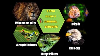 Song About Animal Groups for Children Animal Classification Vertebrates Sing and Learn Science [upl. by Kuehnel998]