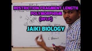 RFLP MOLECULAR MARKERS [upl. by Euqinehs]