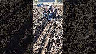 Massey Ferguson 35 Tractor at Newbury Ploughing Match  Saturday 19th October 2024 [upl. by Gorski]