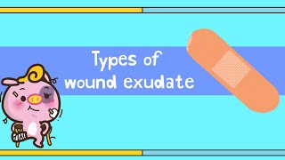 Types of wound exudate [upl. by Erminia665]