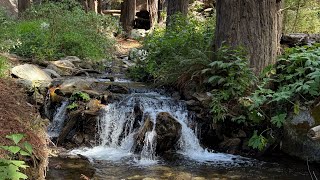 Trail running Big Sur  Tanbark Trail [upl. by Luas]