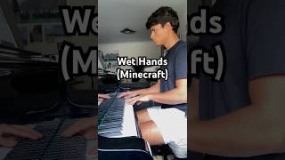 Wet Hands  C418 [upl. by Anaej954]