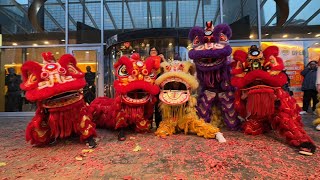 Lion Dance Chinese New Year Rotterdam 2024 Holland Casino [upl. by Eckart]