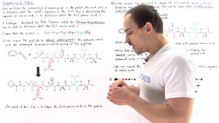 PROTEIN SEQUENCING amp ASSAYS  N amp C TERMINAL AMINO ACID ANALYSIS  PART1 [upl. by Eemiaj]