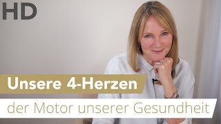 Unsere 4 Herzen der Motor unserer Gesundheit [upl. by Afirahs]