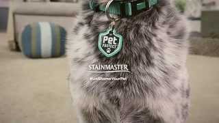 STAINMASTER® PetProtect™ [upl. by Einaffit586]