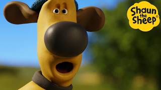 What The Dog DOING 🐑 Shaun the Sheep  Cartoons for Kids 🐑 Full Episodes Compilation 1 hour [upl. by Ibrahim]