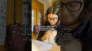 Mi mayor fan studytube opositando [upl. by Kirkpatrick758]