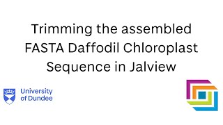 Video 5 Trimming the Sequence Assembly using Jalview [upl. by Og]