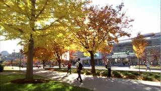 Overview of Brigham Young University [upl. by Iey]