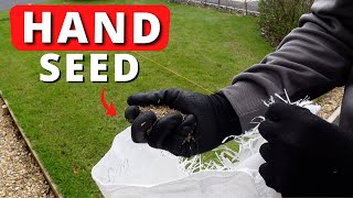 Cheapest Way To Overseed A Patchy Lawn  No Tools [upl. by Ennaeirb]