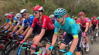 Tour Down Under 2024 Stage 2 Highlights Roadside [upl. by Neivad]