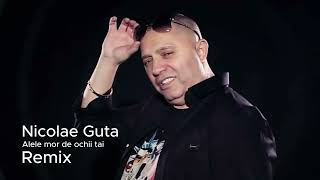 Nicolae Guta  Alele mor de ochii tai  Remix 2024 [upl. by Gus13]