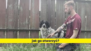 Jak otworzyć lękliwego psa klikerem [upl. by Dlanor]